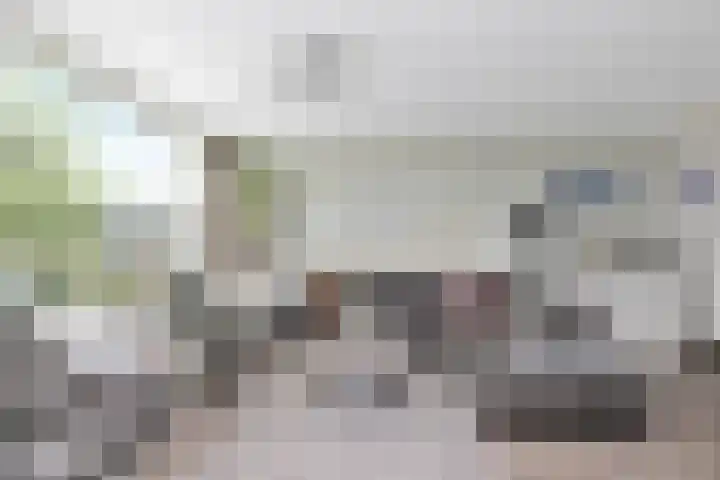 Flensburghof 6 Rotterdam thumbnail 18