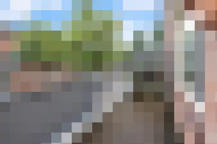Flensburghof 6 Rotterdam thumbnail 20