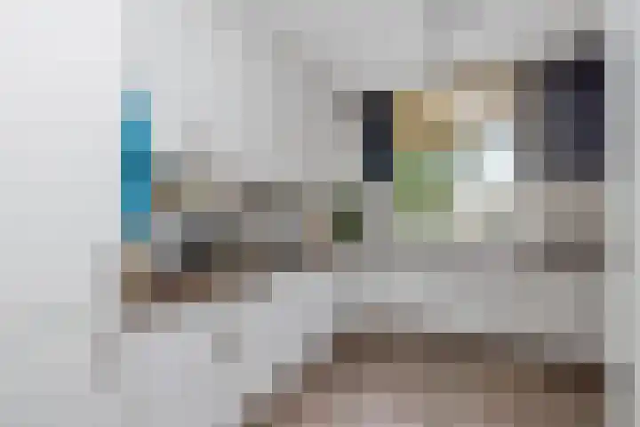 Flensburghof 6 Rotterdam thumbnail 25
