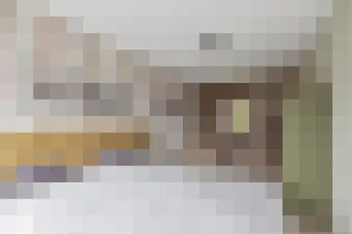 Flensburghof 6 Rotterdam thumbnail 29