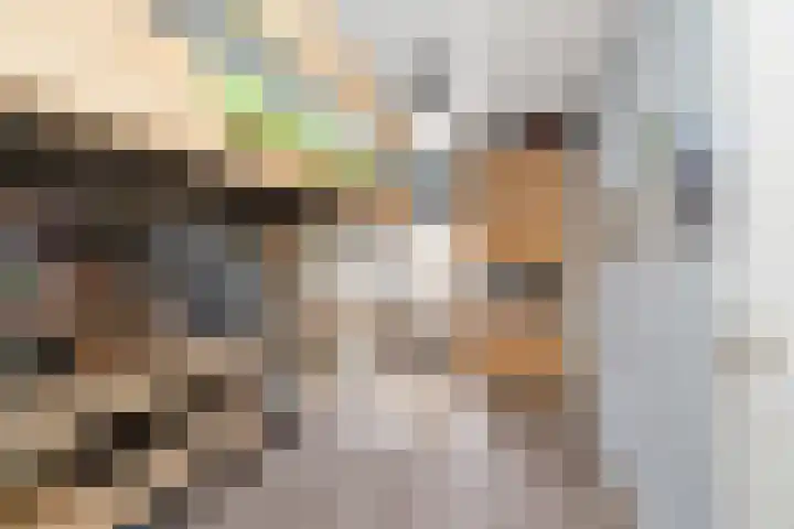 Flensburghof 6 Rotterdam thumbnail 30