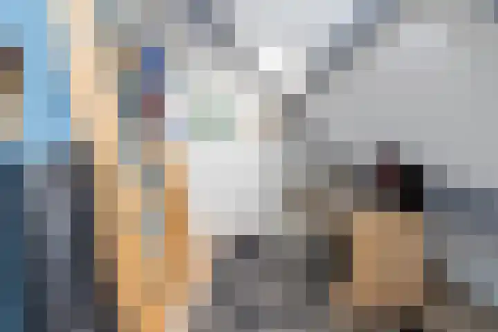 Flensburghof 6 Rotterdam thumbnail 34