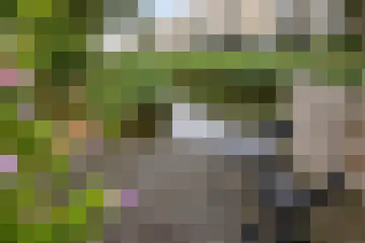 Flensburghof 6 Rotterdam thumbnail 40