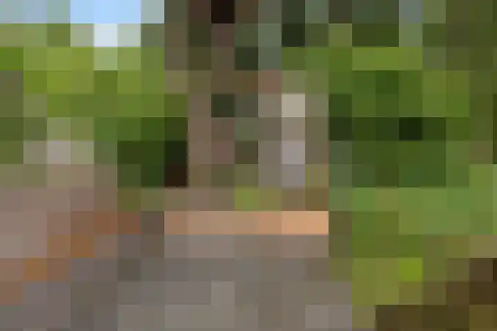 Flensburghof 6 Rotterdam thumbnail 41