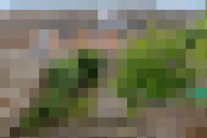 Flensburghof 6 Rotterdam thumbnail 42