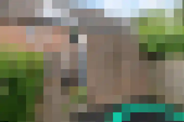 Flensburghof 6 Rotterdam thumbnail 43