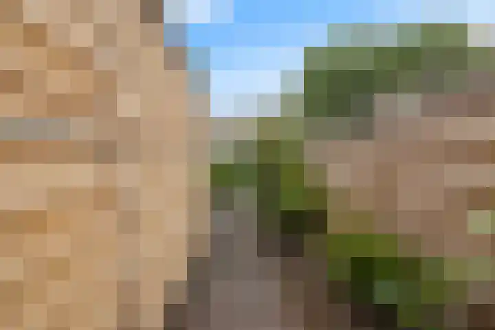 Flensburghof 6 Rotterdam thumbnail 44