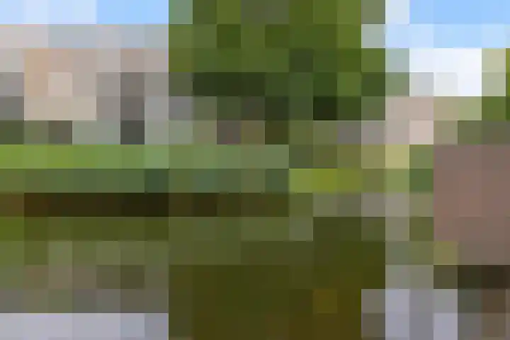 Flensburghof 6 Rotterdam thumbnail 6