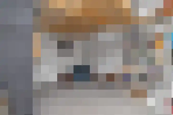 Flensburghof 6 Rotterdam thumbnail 9