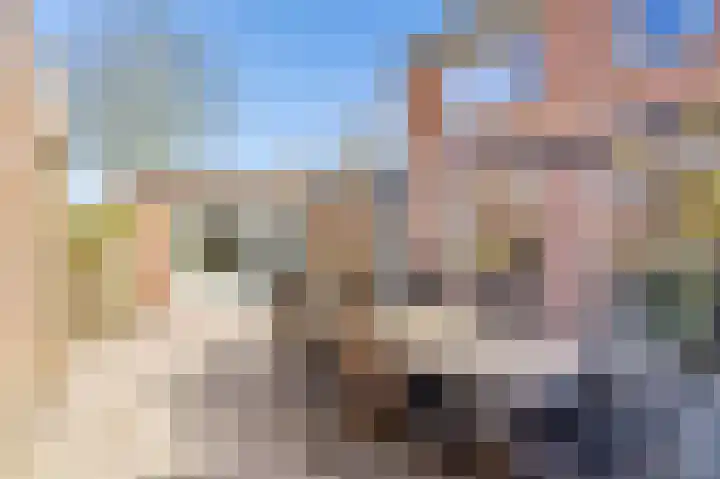 Fleringen 118 's-Hertogenbosch thumbnail 32