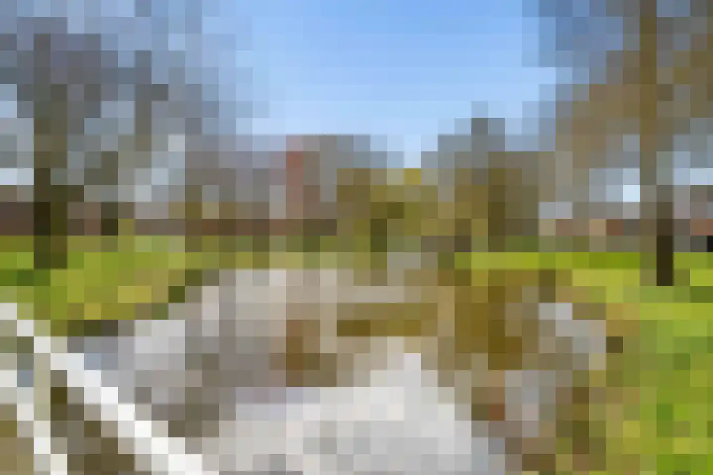 Fleringen 118 's-Hertogenbosch thumbnail 35
