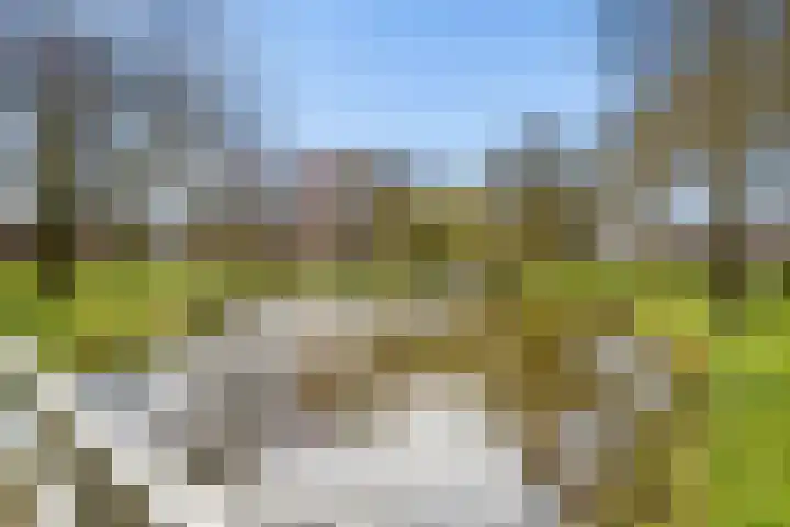 Fleringen 118 's-Hertogenbosch thumbnail 35