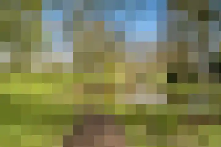 Fleringen 118 's-Hertogenbosch thumbnail 36