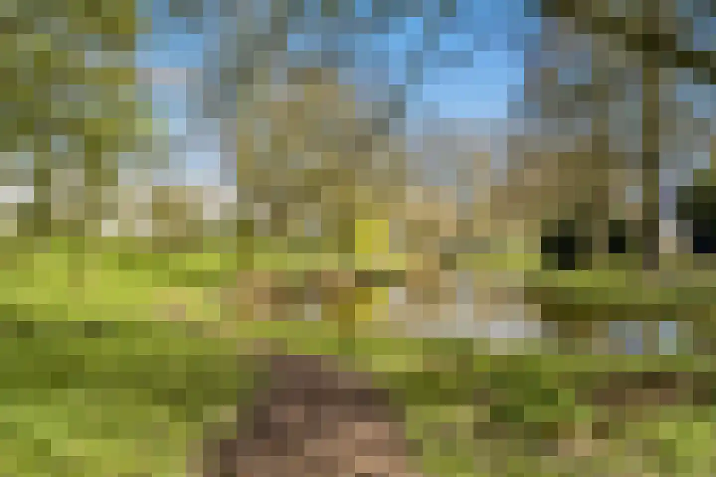 Fleringen 118 's-Hertogenbosch thumbnail 36