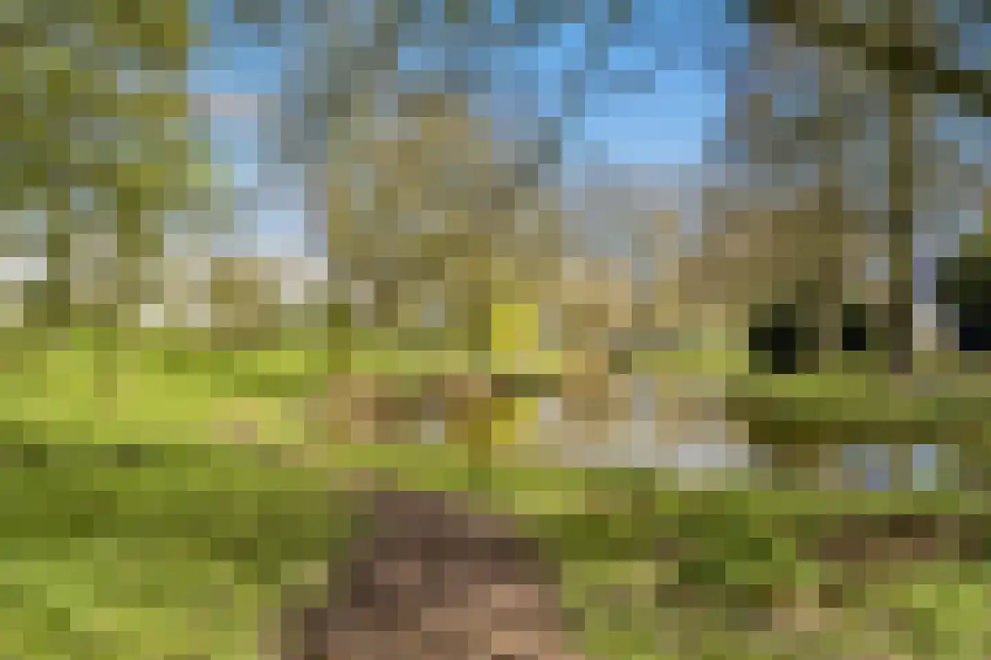 Fleringen 118 's-Hertogenbosch thumbnail 36