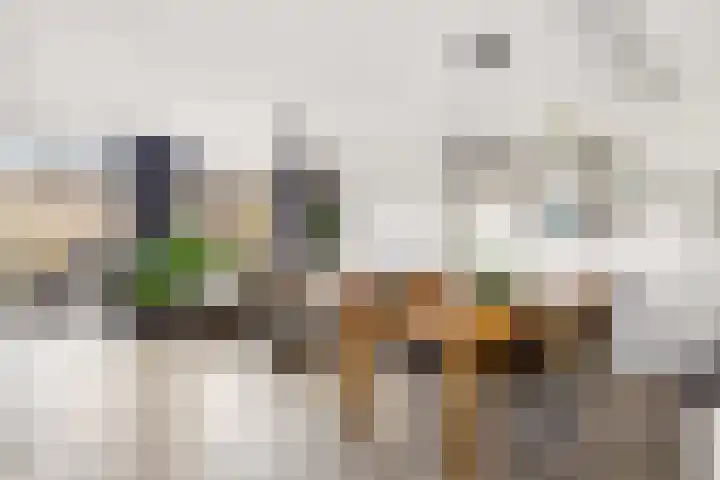 Fleringen 118 's-Hertogenbosch thumbnail 7