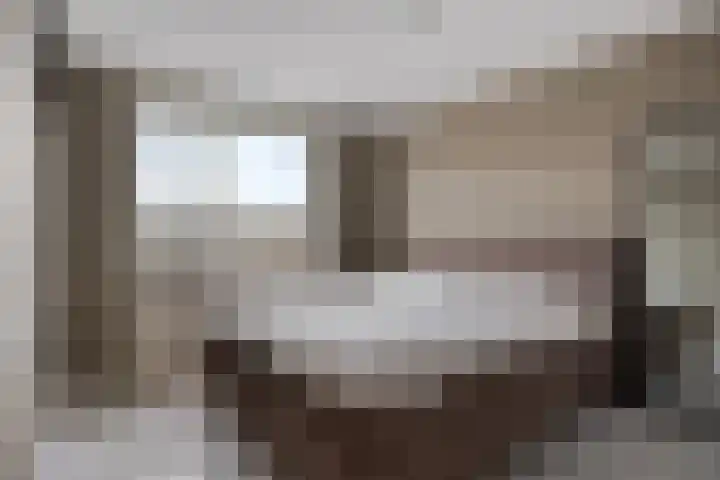 Fleringen 126 's-Hertogenbosch thumbnail 12