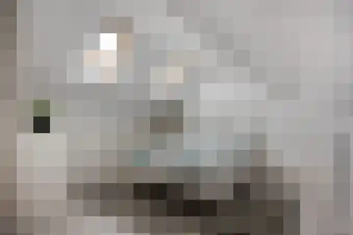 Fleringen 126 's-Hertogenbosch thumbnail 21