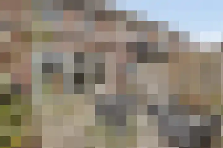Fleringen 126 's-Hertogenbosch thumbnail 26