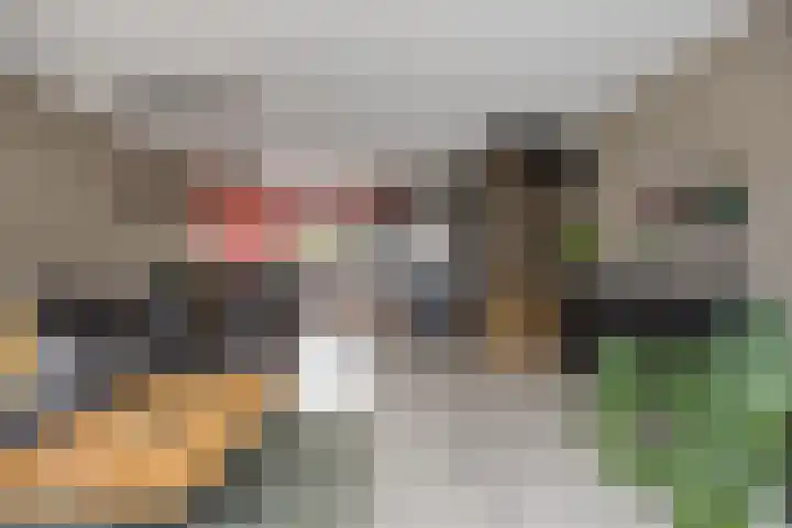 Fleringen 126 's-Hertogenbosch foto 3