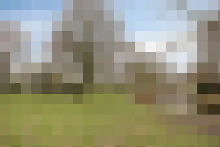 Fleringen 126 's-Hertogenbosch thumbnail 31