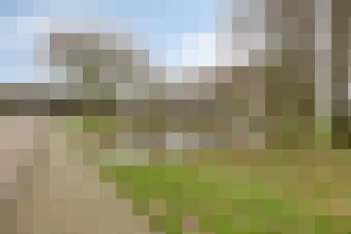 Fleringen 126 's-Hertogenbosch thumbnail 32