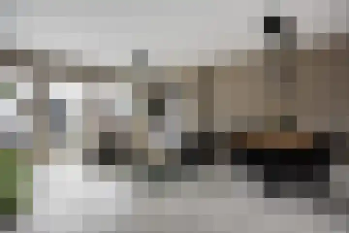 Fleringen 126 's-Hertogenbosch thumbnail 5