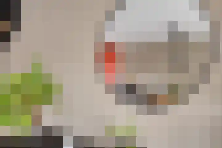 Fleringen 126 's-Hertogenbosch thumbnail 6