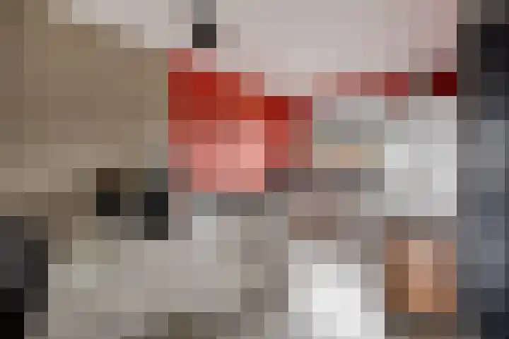 Fleringen 126 's-Hertogenbosch thumbnail 8