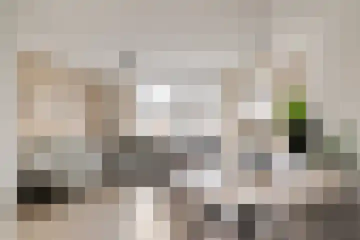 Fleringen 133 's-Hertogenbosch thumbnail 11