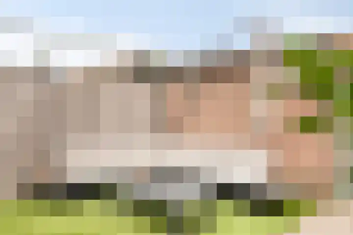 Fleringen 133 's-Hertogenbosch thumbnail 29