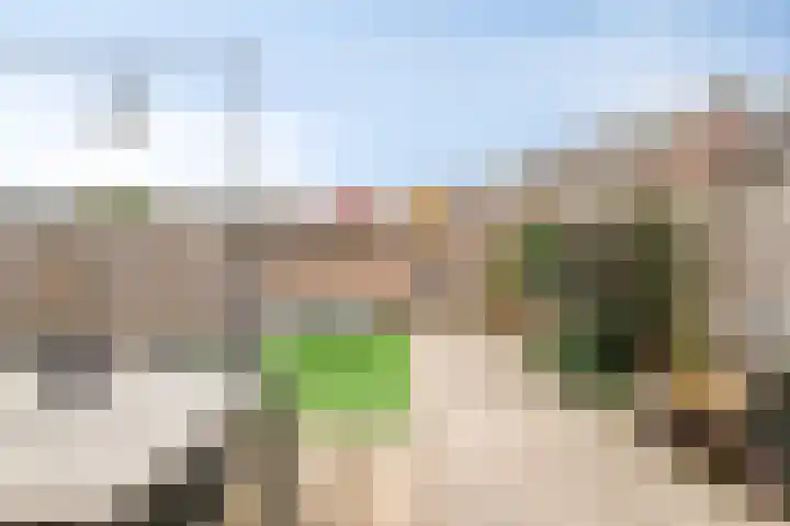Fleringen 133 's-Hertogenbosch thumbnail 30