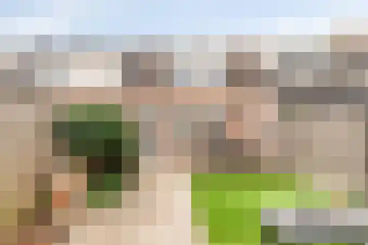 Fleringen 133 's-Hertogenbosch thumbnail 31