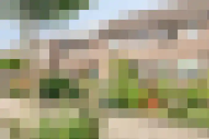Fleringen 133 's-Hertogenbosch thumbnail 32