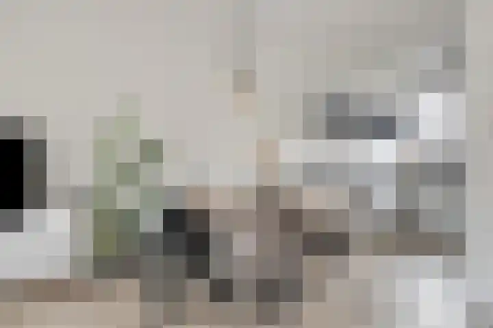 Fleringen 133 's-Hertogenbosch thumbnail 9