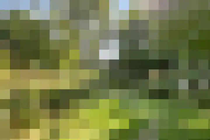 Fleringen 134 's-Hertogenbosch thumbnail 24