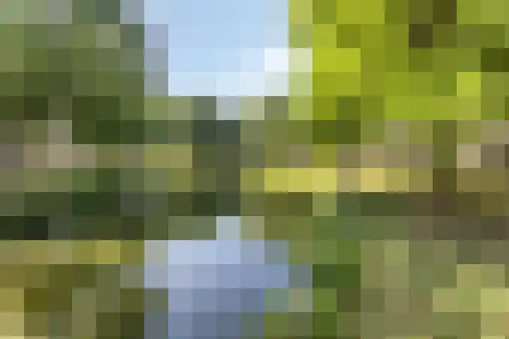 Fleringen 134 's-Hertogenbosch thumbnail 25