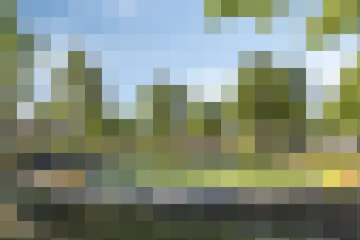 Fleringen 134 's-Hertogenbosch thumbnail 26