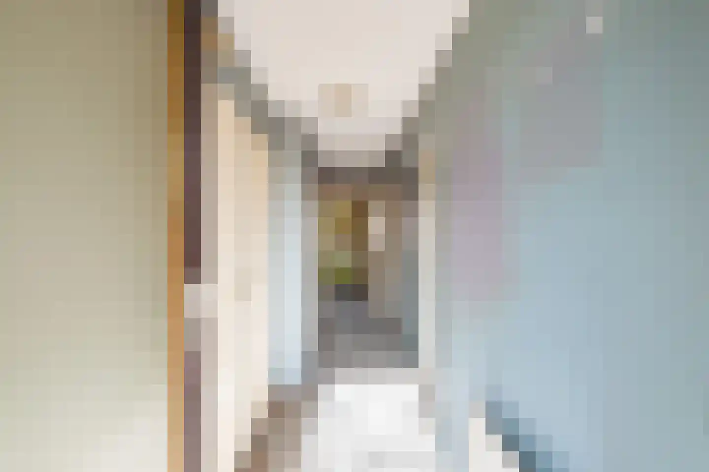 Fleringenstraat 23 Rotterdam thumbnail 27