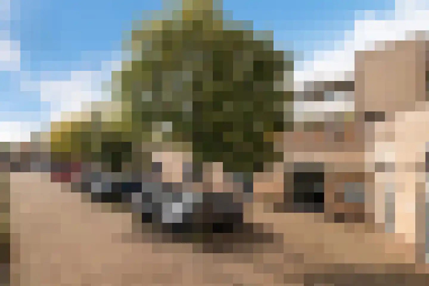 Fleringenstraat 23 Rotterdam thumbnail 30