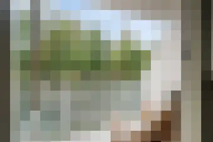 Fleringenstraat 81 Rotterdam thumbnail 22
