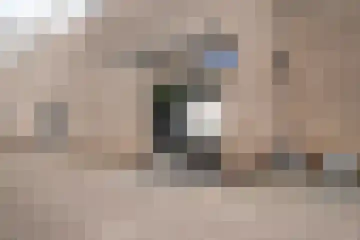 Fleringenstraat 81 Rotterdam thumbnail 4