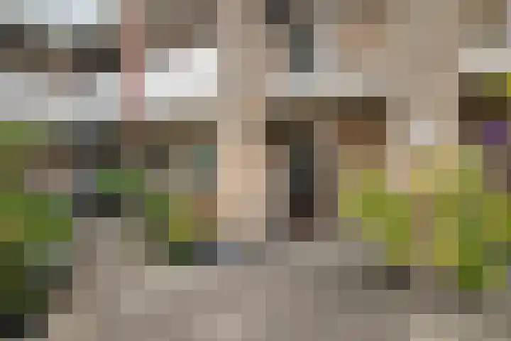 Fleringenstraat 81 Rotterdam thumbnail 6
