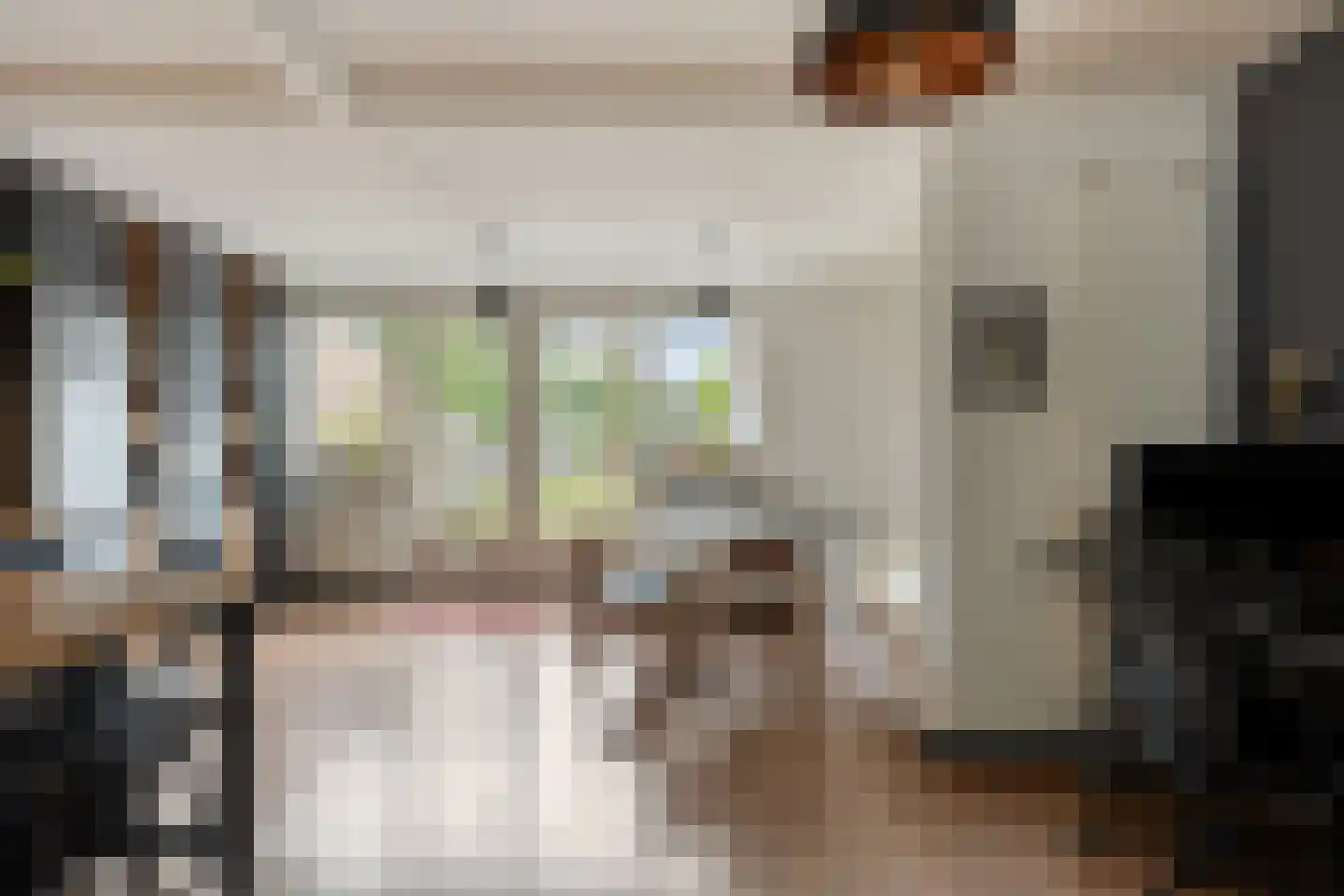 Fleskensstraat 18 Geldrop thumbnail 16