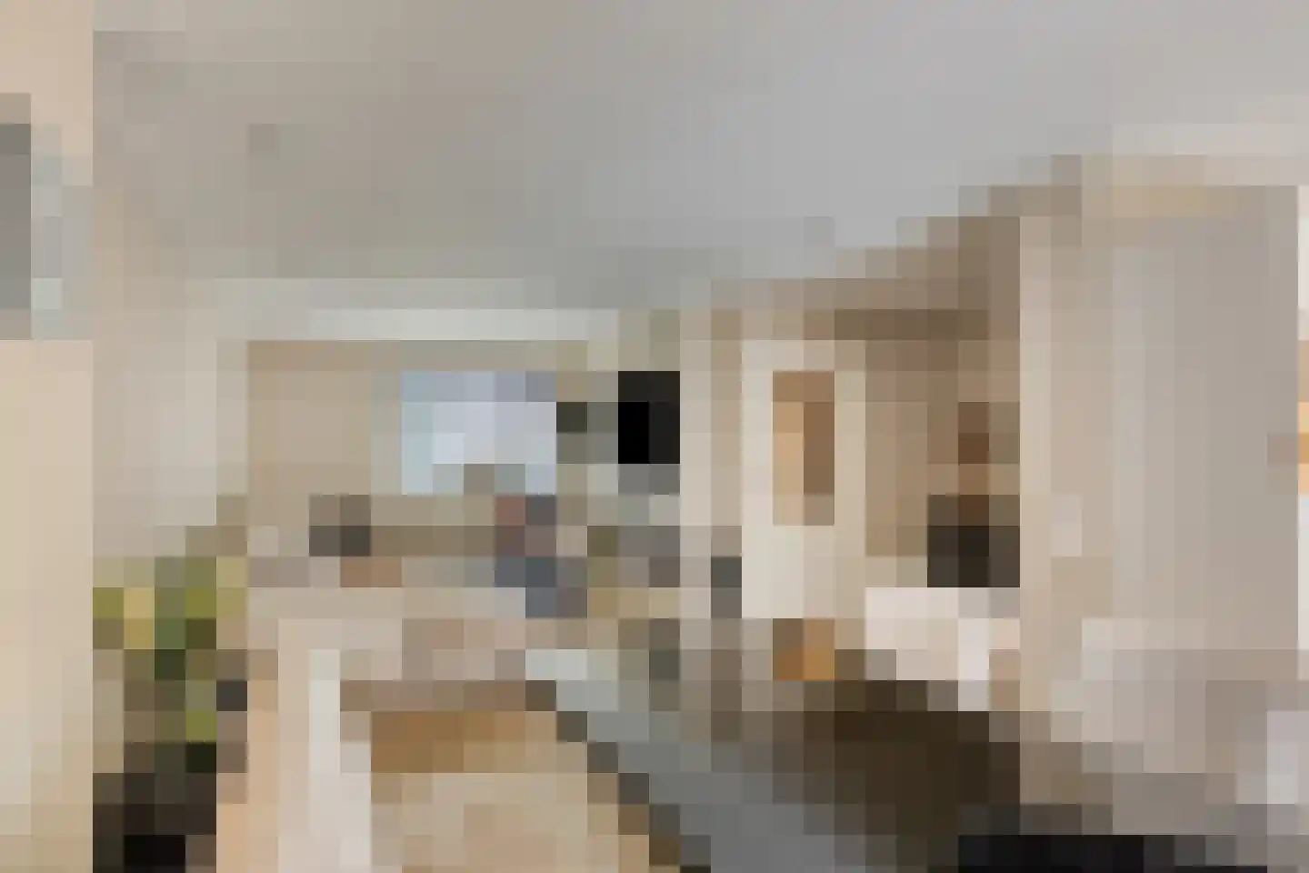 Fleskensstraat 5 Geldrop thumbnail 16