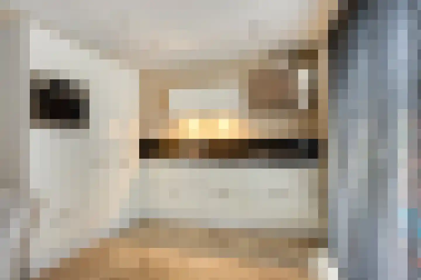 Fleskensstraat 5 Geldrop thumbnail 17