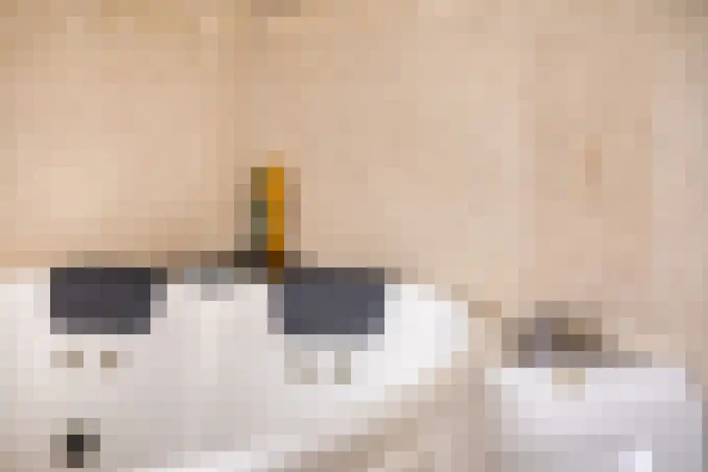 Fleskensstraat 5 Geldrop thumbnail 36