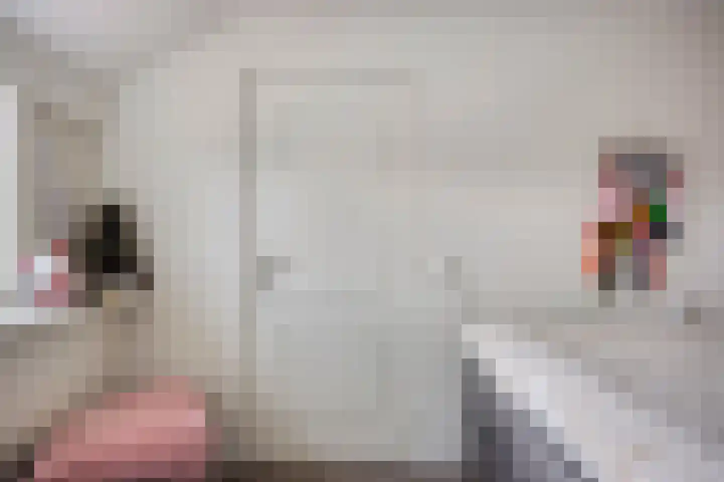 Fleskensstraat 5 Geldrop thumbnail 43