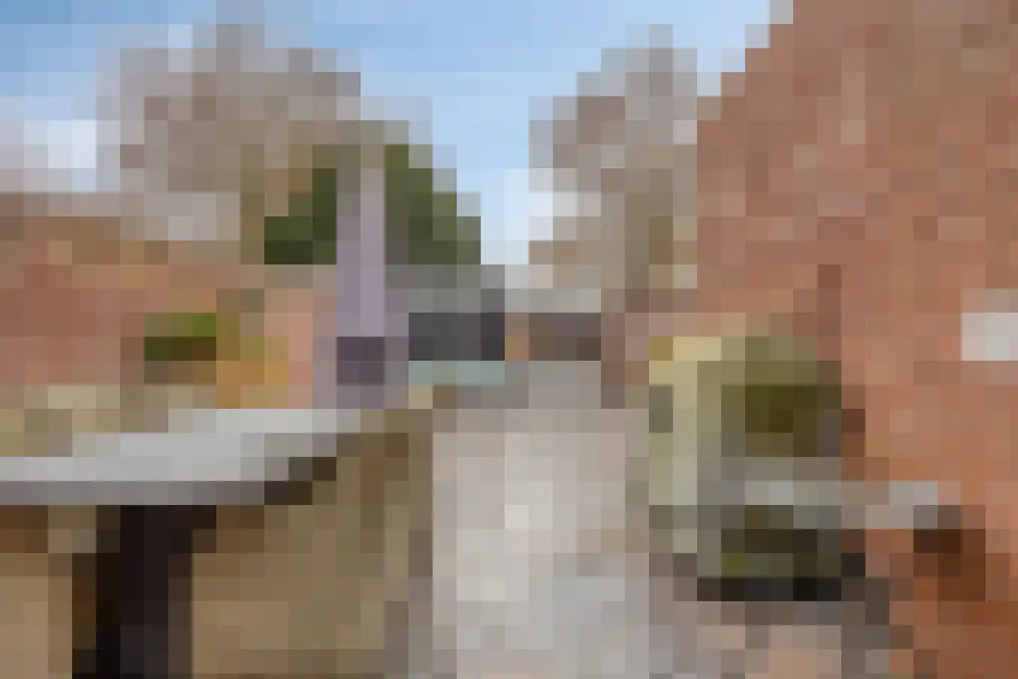 Fleskensstraat 5 Geldrop thumbnail 44