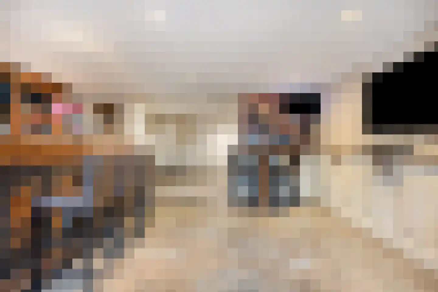 Fleskensstraat 5 Geldrop thumbnail 49